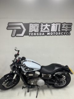 Benda Challenger 300 - фото 1