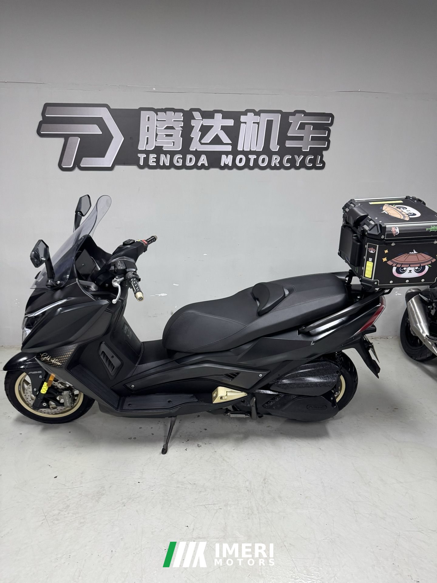2024 Ariic 318 300 cc