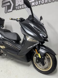 Ariic 318 300 cc - фото 4