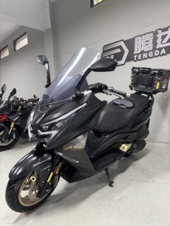 Ariic 318 300 cc - фото 8