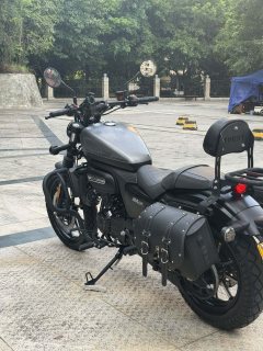 Cyclone RA250 - фото 5