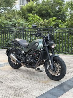 Benelli Lion Cub Leoncino 500 - фото 1