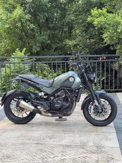 Benelli Lion Cub Leoncino 500 - фото 3