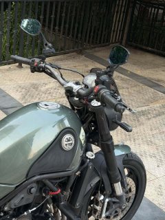 Benelli Lion Cub Leoncino 500 - фото 4