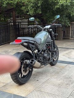 Benelli Lion Cub Leoncino 500 - фото 6