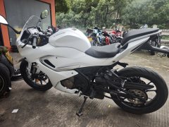 QJMOTOR SRK 250 - фото 2
