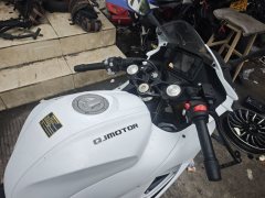 QJMOTOR SRK 250 - фото 3