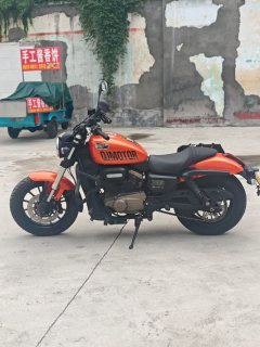 QJMOTOR Flash 300 - фото 5