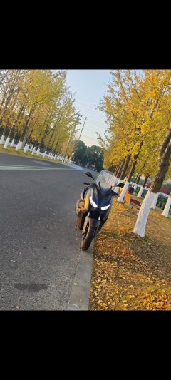 Yamaha XMAX 300 cc - фото 4