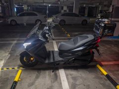 QJMOTOR Hong 250 - фото 2