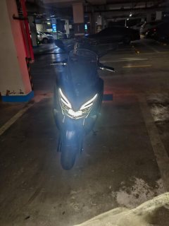 QJMOTOR Hong 250 - фото 3