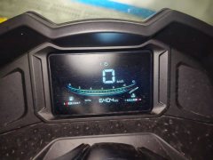 QJMOTOR Hong 250 - фото 4