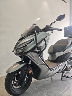 QJMOTOR Hong 250 - фото 5