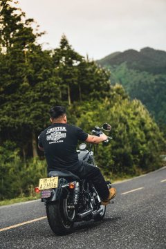 Harley-Davidson 883L SuperLow - фото 2
