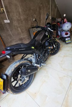 Benelli Leoncino 250 - фото 2