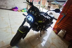 Benelli Leoncino 250 - фото 4