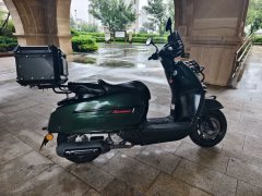 Weiduoliya Sixties 300i - фото 8