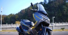 QJMOTOR Hong 250 - фото 3