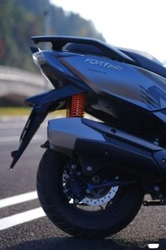 QJMOTOR Hong 250 - фото 7