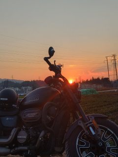 QJMOTOR Flash 350 - фото 2