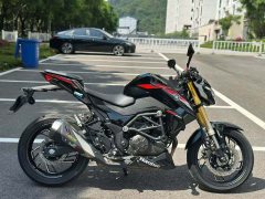 Haojue DR250 - фото 4