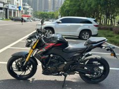 Haojue DR250 - фото 6