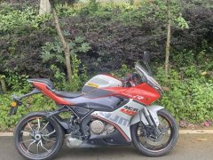 QJMOTOR SRK 250 - фото 2