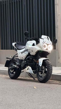CFMOTO Papio XO-1 125 cc - фото 4