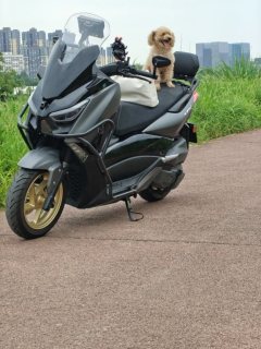 Tianying TX 150 cc - фото 1