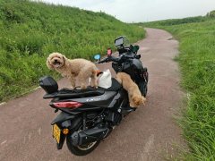 Tianying TX 150 cc - фото 2