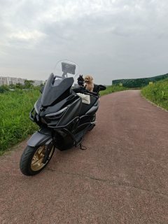 Tianying TX 150 cc - фото 5