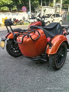 QJMOTOR 300+ - фото 2