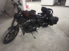 Harley-Davidson 883L SuperLow - фото 3