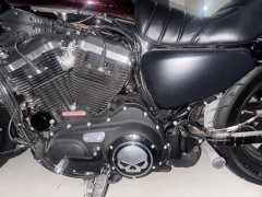 Harley-Davidson 883L SuperLow - фото 4