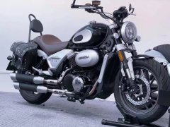 Jueshijie DX250 - фото 6