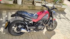 Benelli Leoncino 500 - фото 1