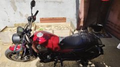 Benelli Leoncino 500 - фото 2