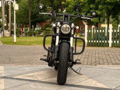 Voge CU250 - фото 2