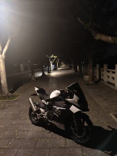 CFMOTO 450SR - фото 5