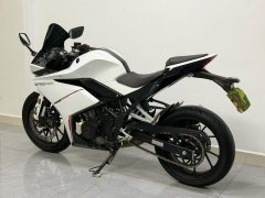 Kayo 250RR Thornbird - фото 3