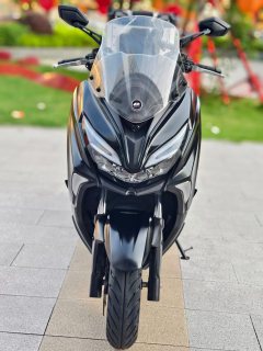 QJMOTOR Hong 250 - фото 2