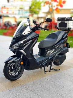 QJMOTOR Hong 250 - фото 3
