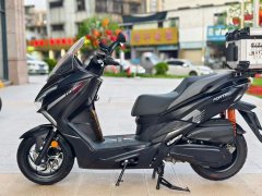 QJMOTOR Hong 250 - фото 6
