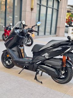 QJMOTOR Hong 250 - фото 9
