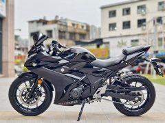 Haojue Suzuki GSX250R - фото 6