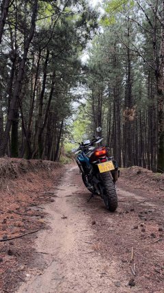 CFMOTO 450MT - фото 8