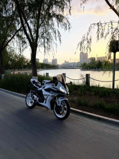 CFMOTO 450SR - фото 2