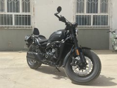 CFMOTO 450CL-C - фото 6