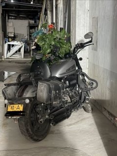 QJMOTOR 250 - фото 7