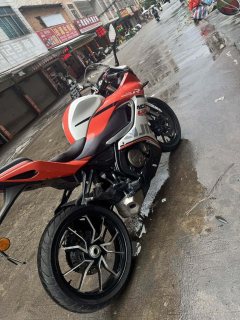 QJMOTOR SRK 250 - фото 3
